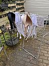 Weekend wasje, foto 3000x4000, 19 reacties, 28 stemmen