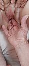 Weer eens wat anders, foto 900x2000, 29 reacties, 120 stemmen