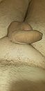 Weer kaal.., foto 2000x4000, 2 reacties, 6 stemmen