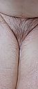 Welke foto willen jullie, foto 1756x4000, 1 reacties, 2 stemmen