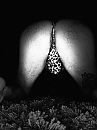 Who is watching my back, foto 2316x3088, 0 reacties, 6 stemmen