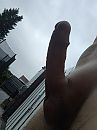 Wie Gaat er mee, foto 3004x4000, 4 reacties, 11 stemmen