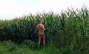 Wie volgt er mij?, foto 1966x1204, 6 reacties, 21 stemmen