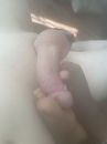 Wij, foto 3000x4000, 1 reacties, 29 stemmen