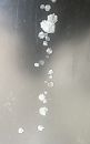 XXX, foto 2331x3705, 1 reacties, 0 stemmen