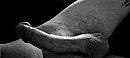 X., foto 2016x908, 4 reacties, 21 stemmen
