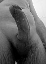 Xx6, foto 2888x4000, 1 reacties, 3 stemmen