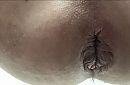 Xxl….., foto 1374x908, 4 reacties, 7 stemmen