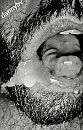 Yes i eat my own cum, foto 1042x1612, 3 reacties, 10 stemmen