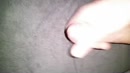 Zaadlozing, film 00:00:00, 52 reacties, 116 stemmen