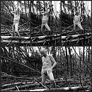 Zalig poseren voor de camera, foto 1000x1000, 4 reacties, 30 stemmen