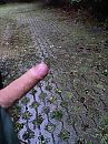 Zeik weer, foto 3000x4000, 6 reacties, 33 stemmen