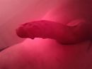 Zin om te spelen, foto 4000x3000, 5 reacties, 14 stemmen