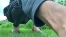Zo'n...tuin...vrijheid..., film 00:00:00, 12 reacties, 40 stemmen
