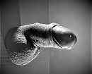 Zo maar B&W., foto 1066x867, 5 reacties, 14 stemmen