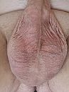Zo maar eens legen..., foto 2208x2944, 1 reacties, 1 stemmen