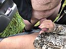 Zo’n mooie dikke moet er in…., foto 4000x3000, 82 reacties, 328 stemmen