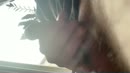Zo, film 00:00:15, 3 reacties, 8 stemmen