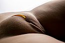 Zoet als….., foto 3960x2640, 99 reacties, 286 stemmen