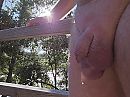 Zomer, foto 3392x2544, 11 reacties, 33 stemmen