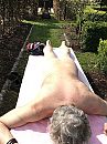 Zon, foto 960x1280, 2 reacties, 3 stemmen
