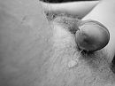 Zwart wit, foto 4000x3000, 4 reacties, 8 stemmen