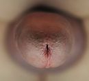 !, foto 4000x3639, 0 reacties, 1 stemmen