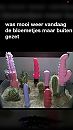 ., foto 750x1334, 0 reacties, 5 stemmen