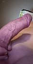 ., foto 1803x3424, 14 reacties, 45 stemmen