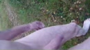 afkoeling, film 00:00:13, 1 reacties, 3 stemmen