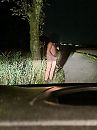 betrapt, foto 1733x2310, 5 reacties, 25 stemmen