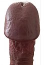 big head, foto 1066x1566, 14 reacties, 23 stemmen