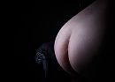 billen, foto 1200x867, 5 reacties, 6 stemmen