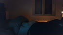 cammen, film 00:00:22, 1 reacties, 5 stemmen
