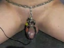 chastity electro stimulation, film 00:00:00, 5 reacties, 20 stemmen