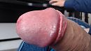 clitklopper, foto 499x281, 1 reacties, 7 stemmen