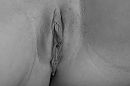 close-up, foto 1892x1260, 10 reacties, 31 stemmen