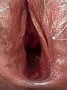 close up, foto 480x640, 22 reacties, 44 stemmen