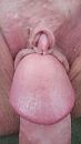 close up, foto 1840x3264, 12 reacties, 37 stemmen