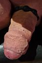 cock ring, foto 1073x1621, 1 reacties, 2 stemmen