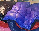 daar houden we van lycra, foto 640x508, 2 reacties, 4 stemmen