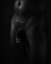 daar is ie, foto 2300x2875, 1 reacties, 3 stemmen