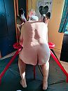date, foto 1536x2048, 2 reacties, 4 stemmen