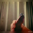de dag goed beginnen, film 00:00:16, 8 reacties, 34 stemmen
