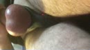 diamo,, film 00:00:11, 0 reacties, 11 stemmen