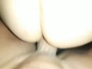 doggy, film 00:00:26, 6 reacties, 72 stemmen