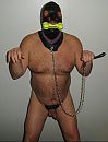 dogslave  is playfull, foto 361x471, 5 reacties, 11 stemmen