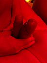 double cock, foto 768x1024, 21 reacties, 58 stemmen