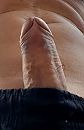 duitse staander, foto 1470x2269, 0 reacties, 3 stemmen