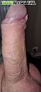 een geile dinsdag, foto 247x550, 4 reacties, 12 stemmen
